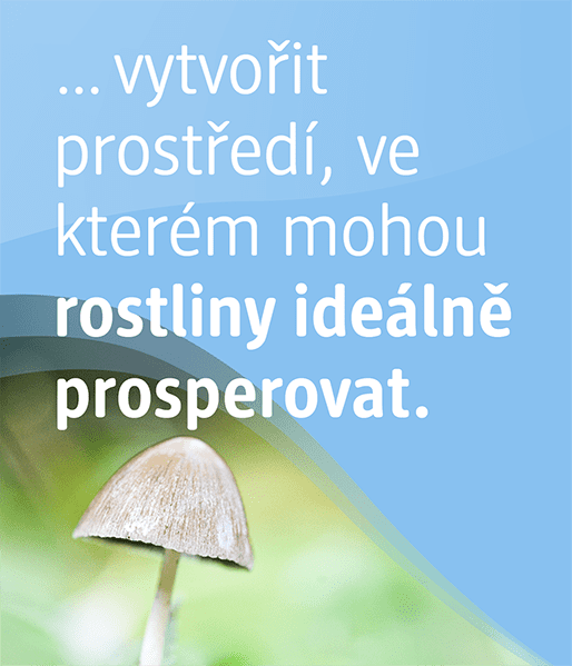 Pomáhame vytvářet místa, na kterých se dobře daří rostlinám.