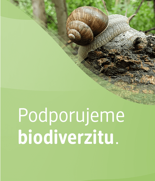 Podporujeme biodiverzitu.