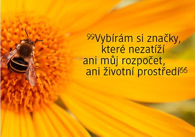 Udržitelné značky
