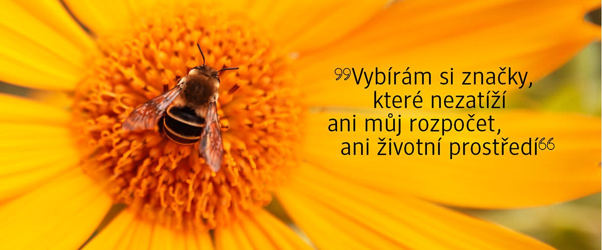 Udržitelné značky