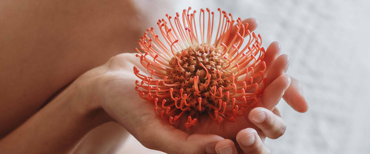 Menstruation & Zyklus