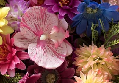 Květiny podle měsíce narození