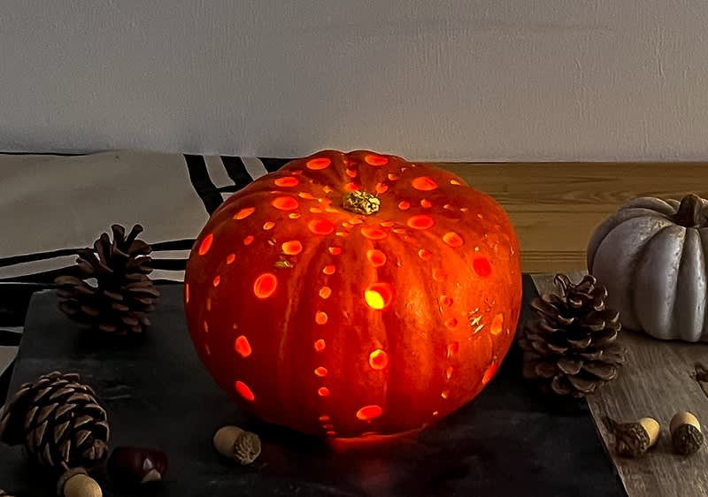 Dýně