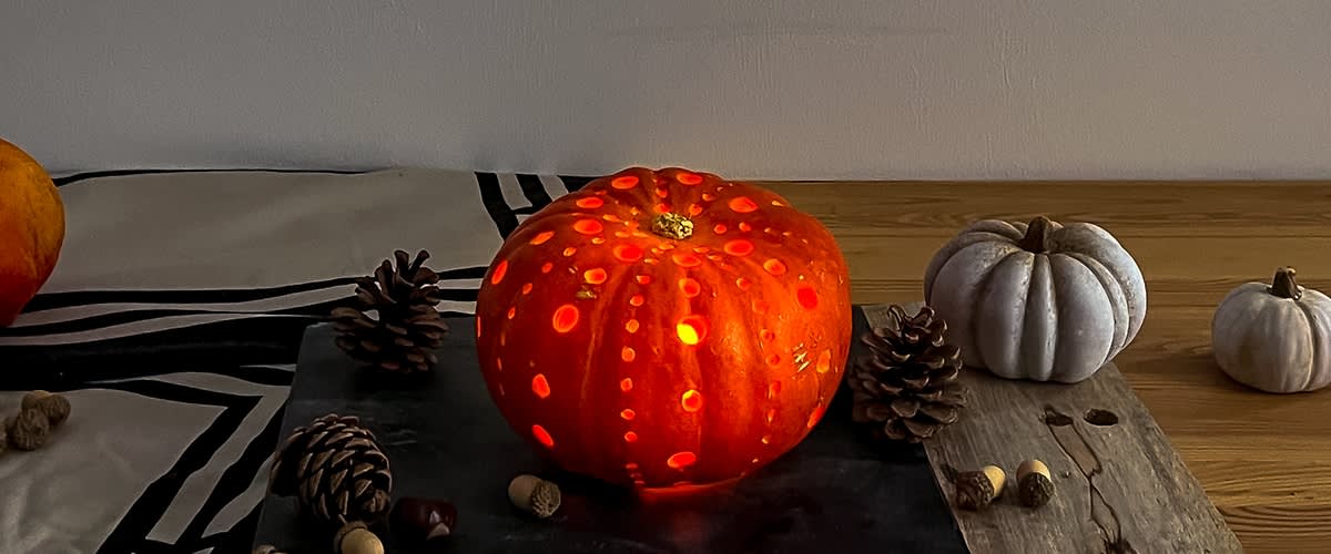 Dýně