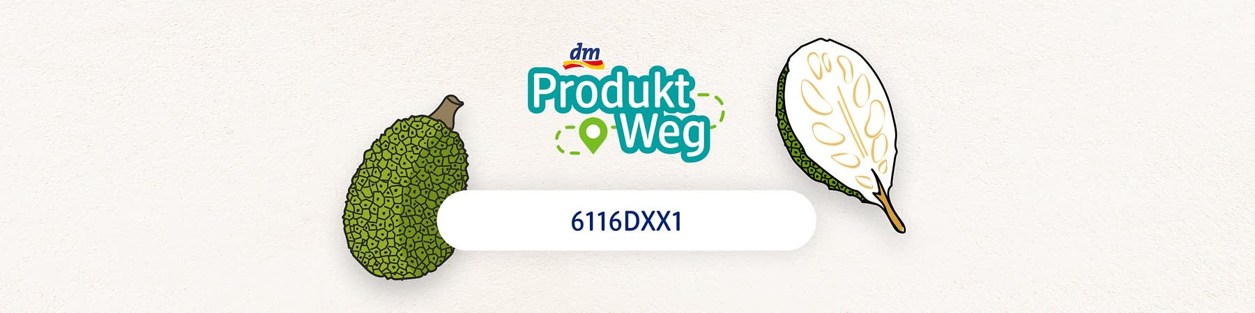 6116DXX1