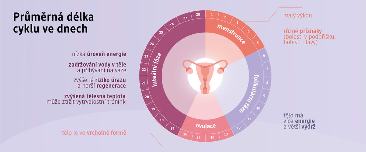 Trénink v souladu s cyklem