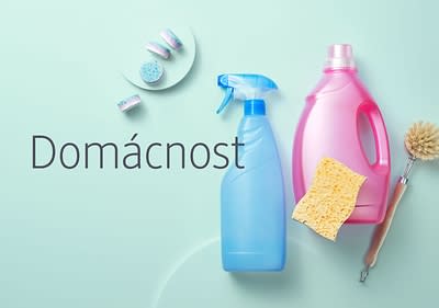Domácnost