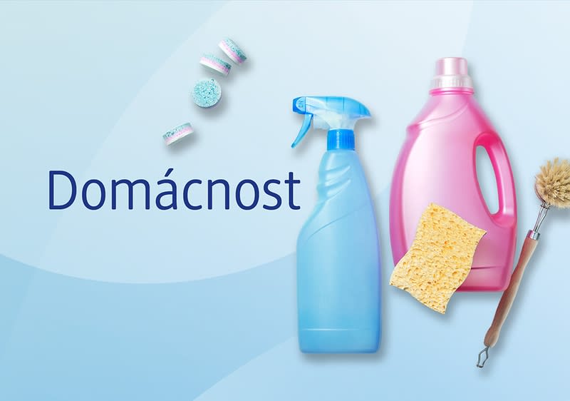 Domácnost