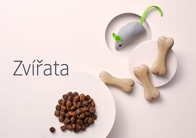 Zvířata