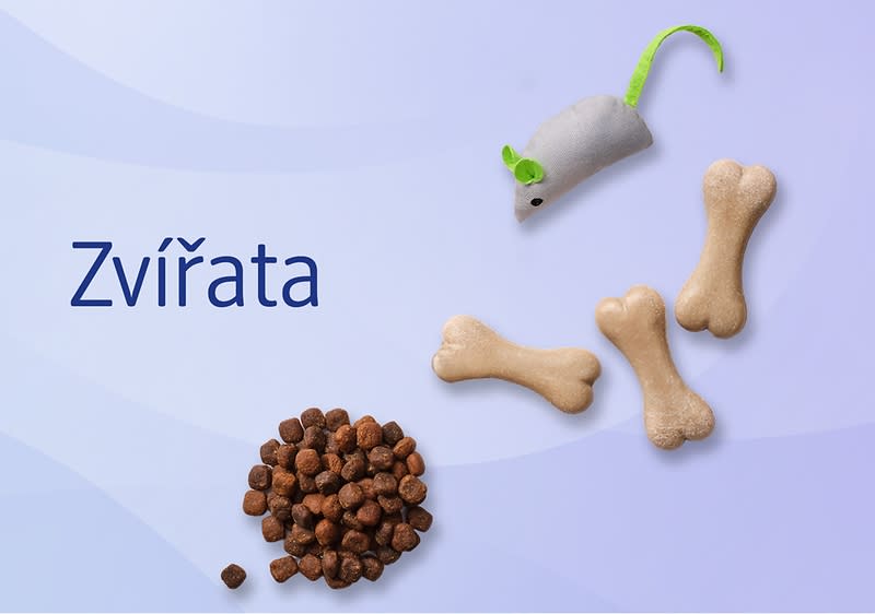 Zvířata