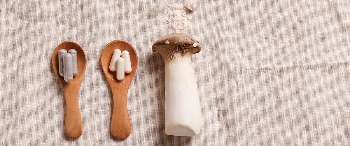 Doplňky stravy z houby