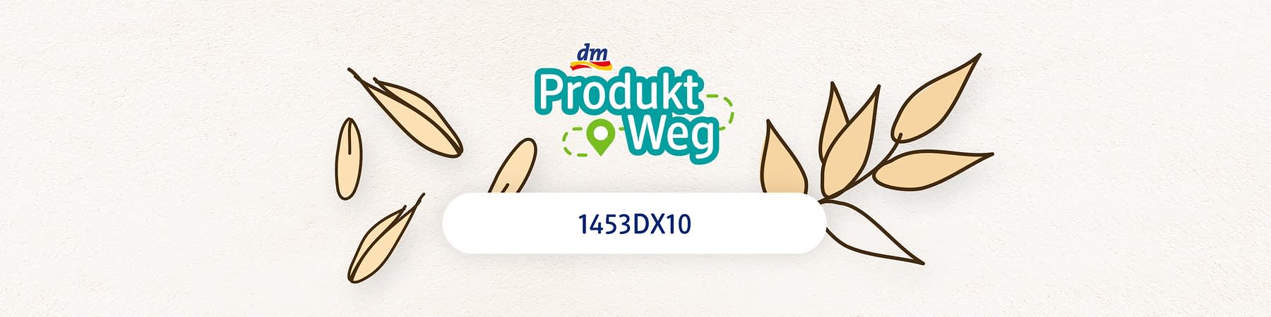 dm Produkt Weg Logo s kódem 1453DX10