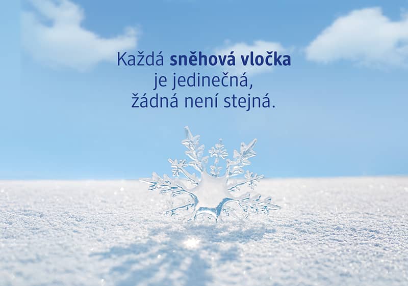 Sněhová vločka na sněhu s textem o jedinečnosti vloček na modré obloze