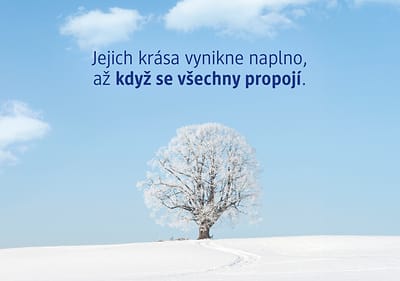 Zasněžený strom na poli s textem o propojení krásy