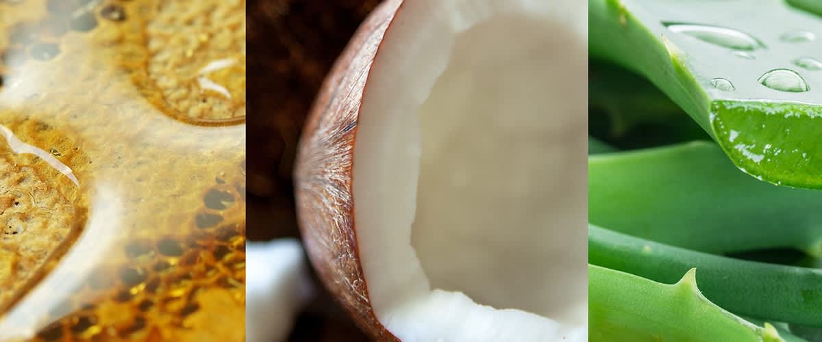 Zázvor, med, aloe vera