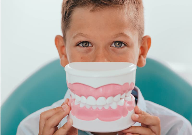 bild-pro-jednotlivce