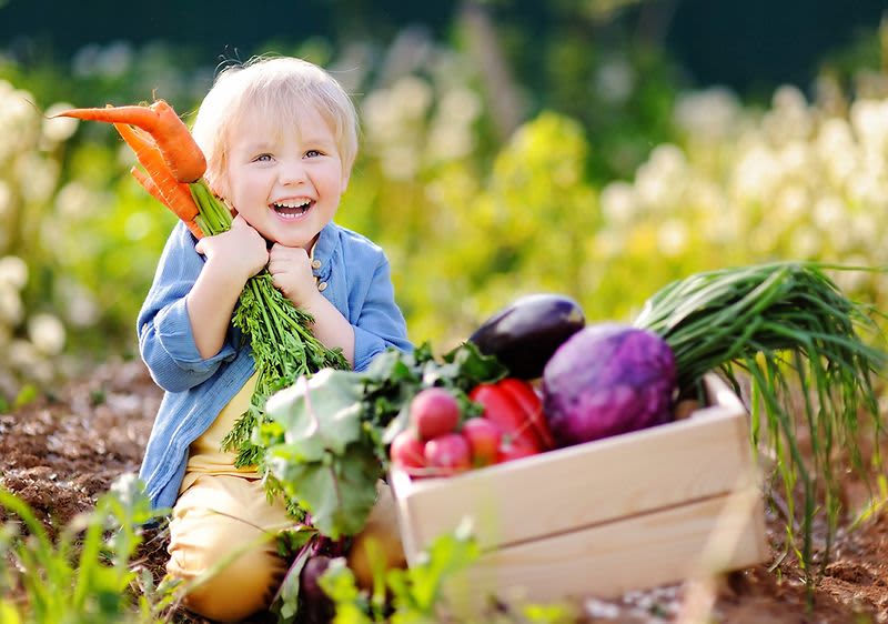 Dítě držící mrkev vedle bedny plné zeleniny na zahradě