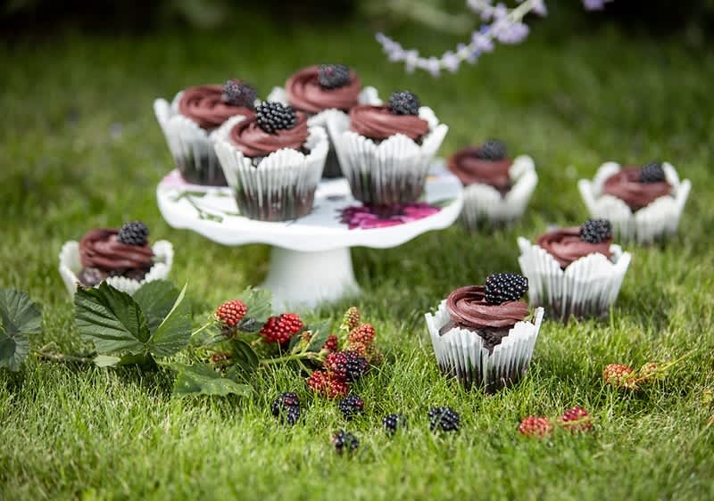Čokoládové muffiny s ostružinami na trávě a podnosu
