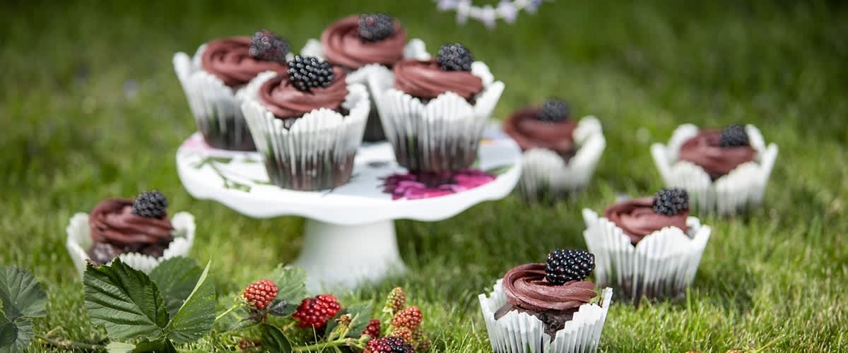 Čokoládové muffiny s ostružinami na trávě a podnosu