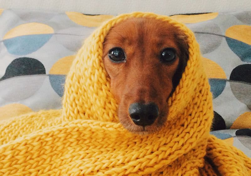 pravda-o-krasnych-vlasech