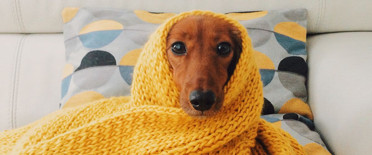 pravda-o-krasnych-vlasech