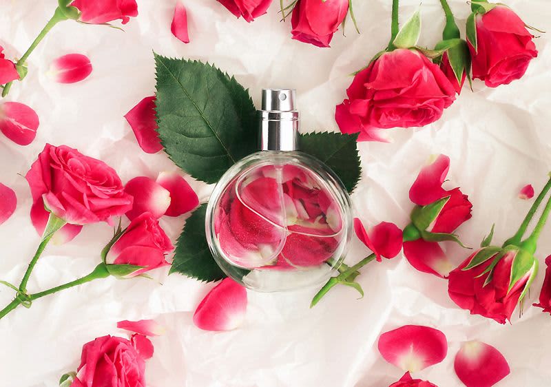 Parfémová lahvička obklopená červenými růžemi a okvětními lístky na bílém pozadí