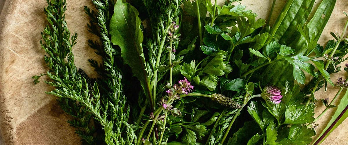 Čerstvé bylinky na dřevěném prkénku