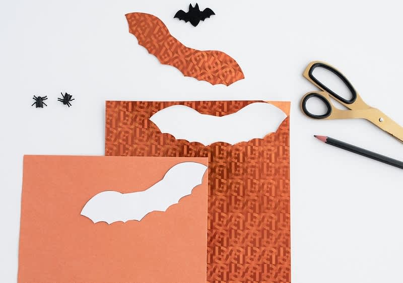 Vystřižení netopýří křídla