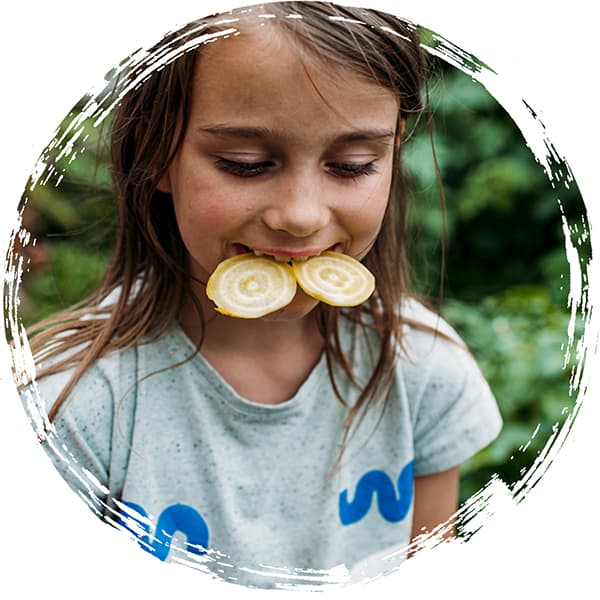 AckerRacker schafft Wissen über gesunde Ernährung