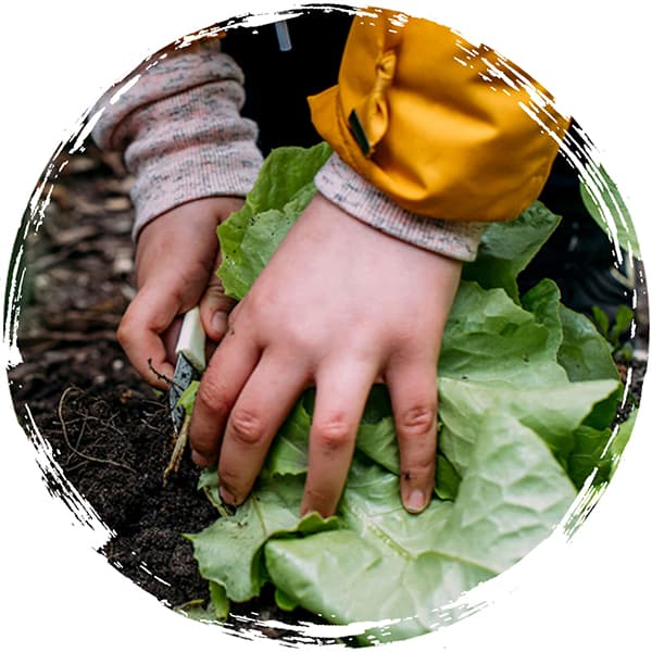 AckerRacker schafft Wissen über gesunde Ernährung