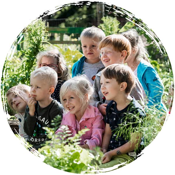 AckerRacker schafft Wissen über gesunde Ernährung