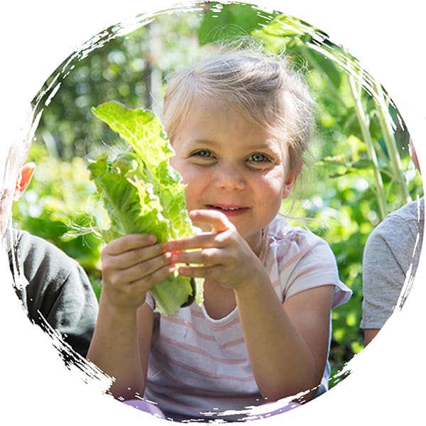 AckerRacker schafft Wissen über gesunde Ernährung