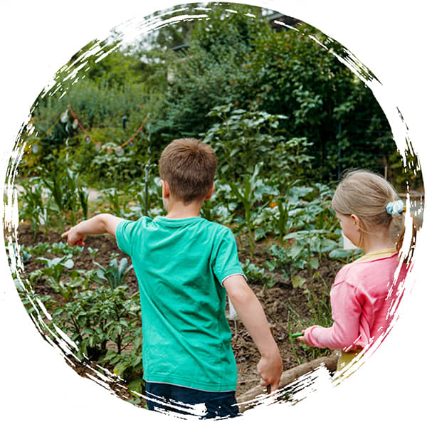 AckerRacker schafft Wissen über gesunde Ernährung