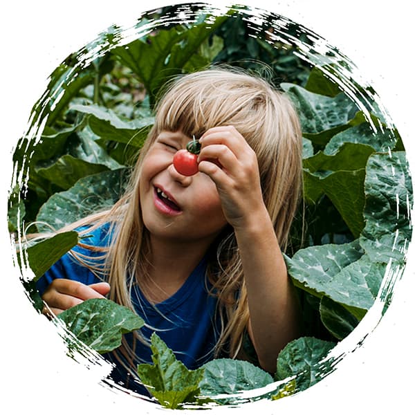 AckerRacker schafft Wissen über gesunde Ernährung