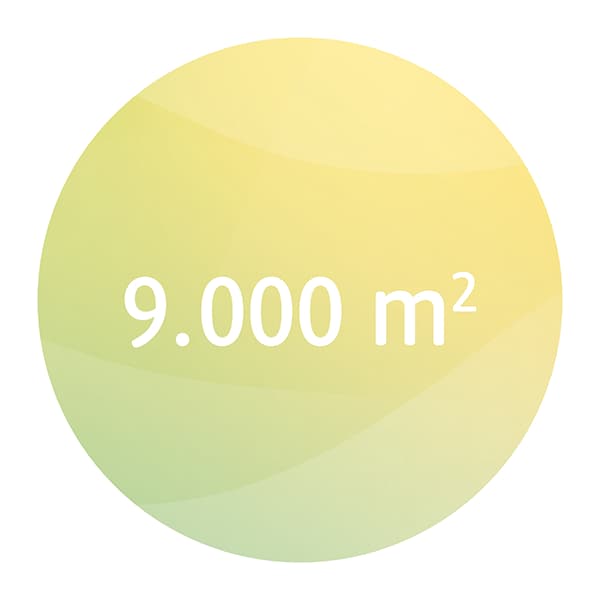 2500 grüne Etiketten bei dm