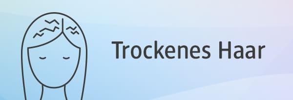 Shampoo für trockenes Haar