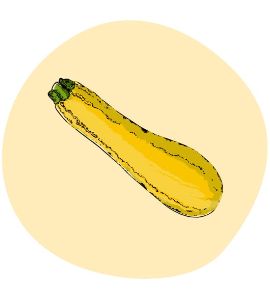 Zucchini