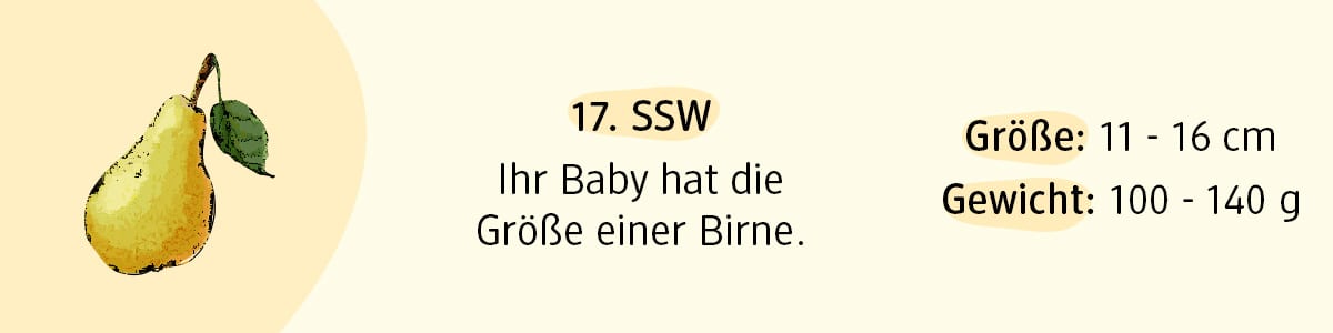 Schwangerschaftswoche 17