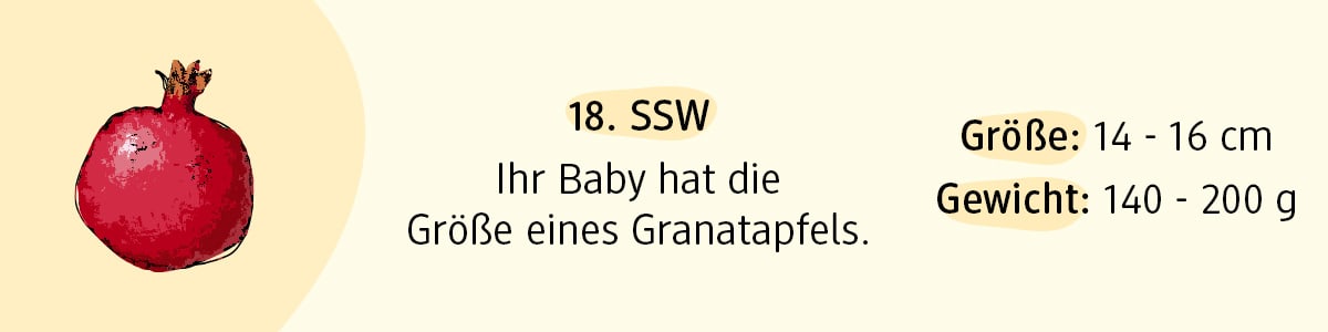 Schwangerschaftswoche 18