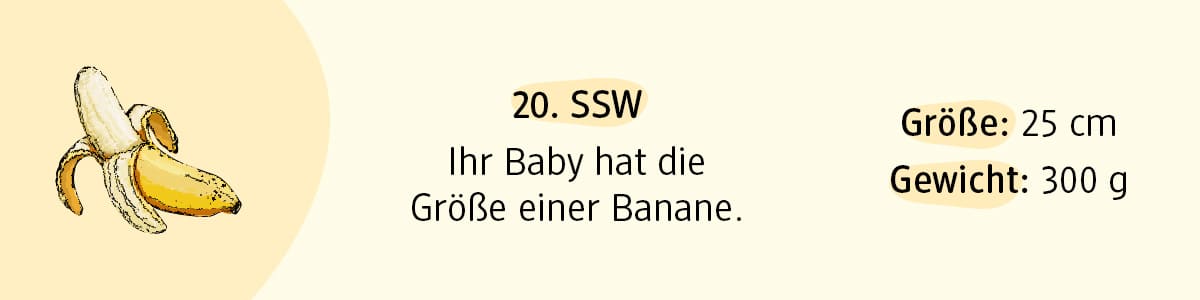 Schwangerschaftswoche 20