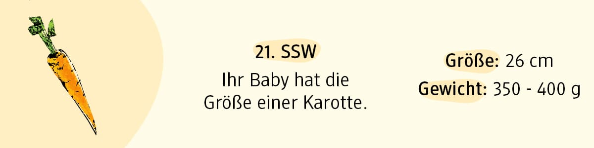 Schwangerschaftswoche 21