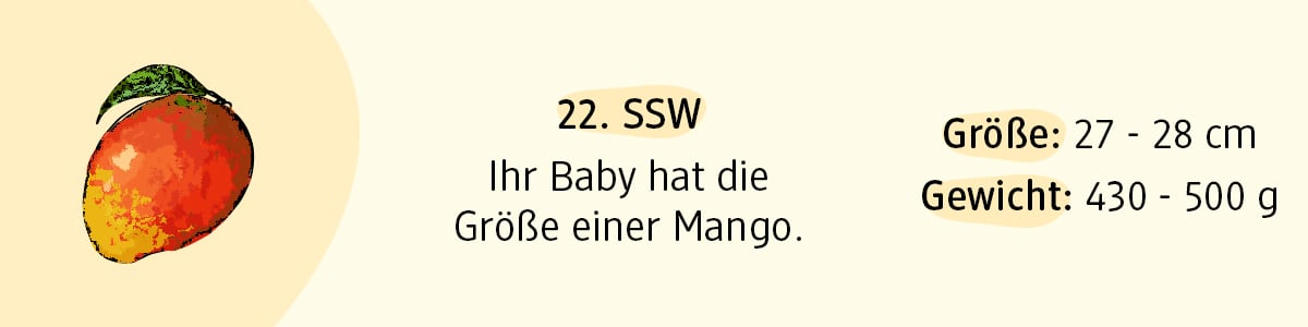 Schwangerschaftswoche 22