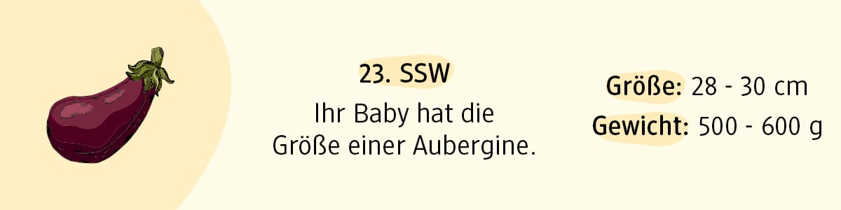 Schwangerschaftswoche 23