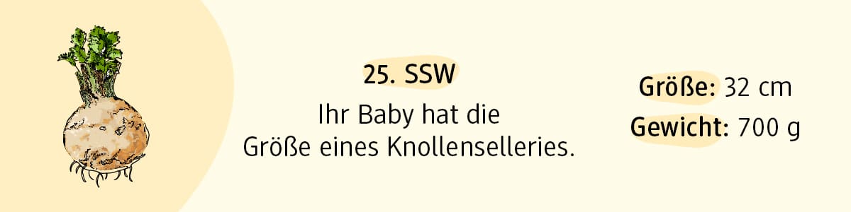 Schwangerschaftswoche 25
