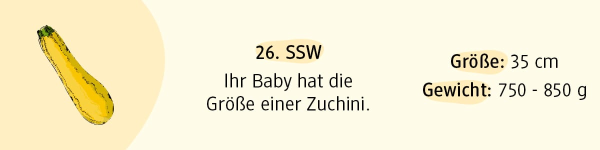 Schwangerschaftswoche 26