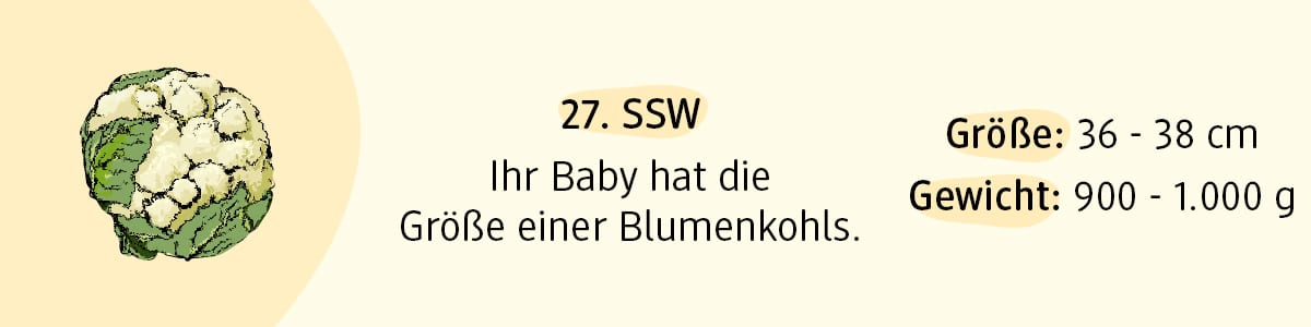 Schwangerschaftswoche 27