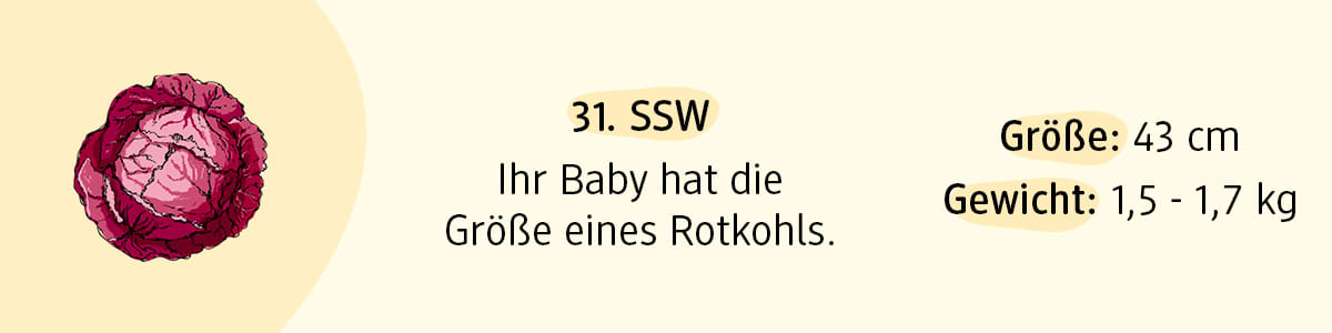 Schwangerschaftswoche 31