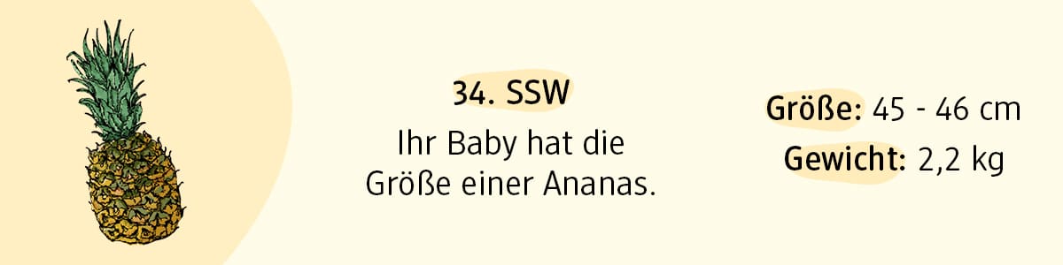Schwangerschaftswoche 34