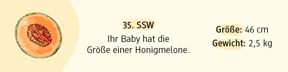 Schwangerschaftswoche 35