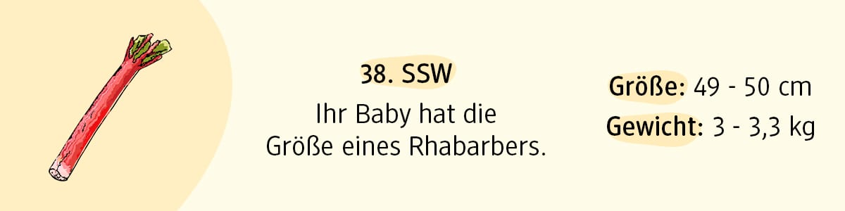 Schwangerschaftswoche 38